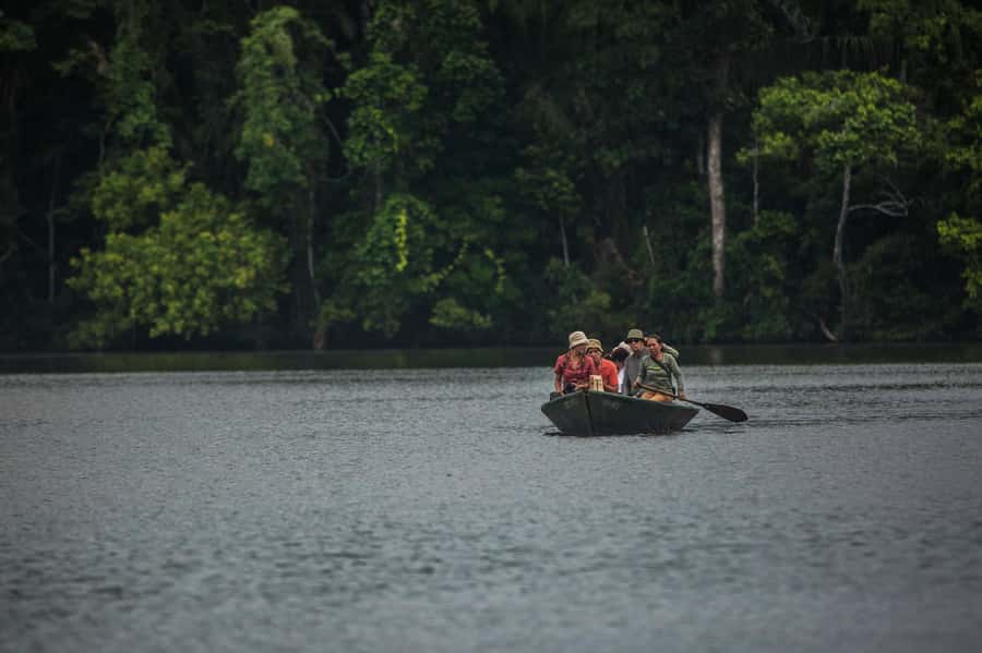 Tambopata Macaw Clay Lick 3 days/2 nights - What the $335 price includes
