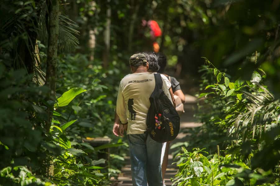 Tambopata Macaw Clay Lick 5 days/4 nights - Why El Chuncho is worth the early alarm