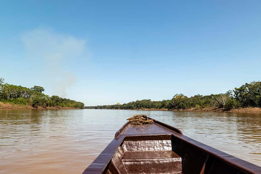 Tambopata: Multi-Day Amazon Rainforest Tour with Local Guide - Should you book this Amazon tour?