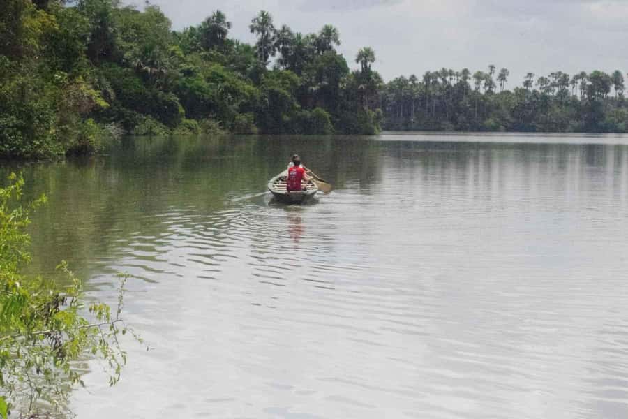 Tambopata: Multi-Day Amazon Rainforest Tour with Local Guide - Four days from Puerto Maldonado into the Amazon