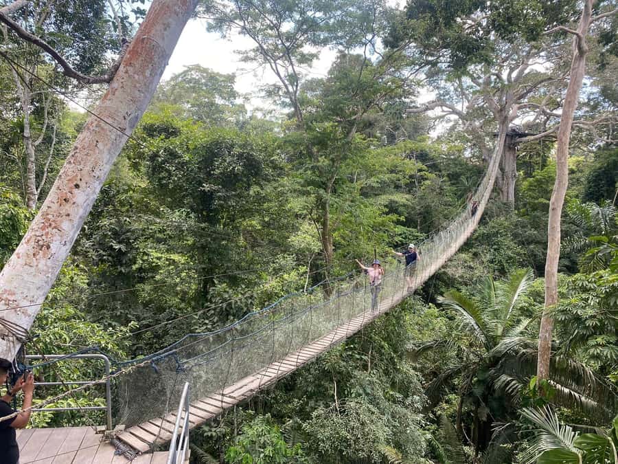 Tambopata: Multi-Day Amazon Rainforest Tour with Local Guide - Wildlife, guides, and the best parts of the program