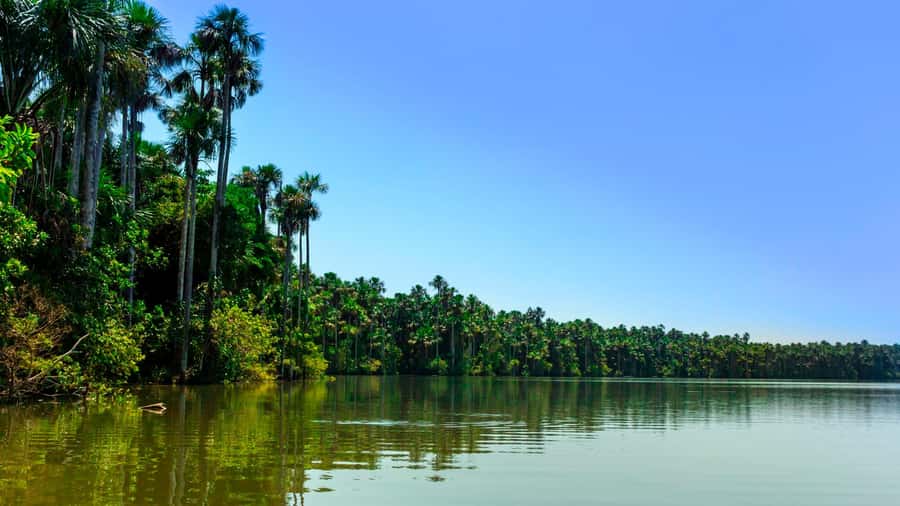 Tambopata: Multi-Day Amazon Rainforest Tour with Local Guide - Is $387 good value?