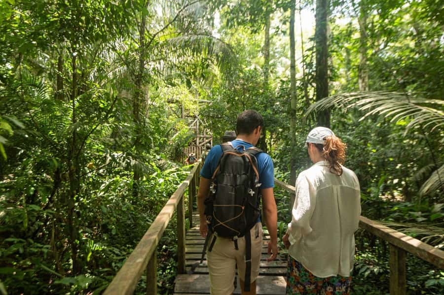 Tambopata National Reserve Tour 3 Days - What the $260 price really covers