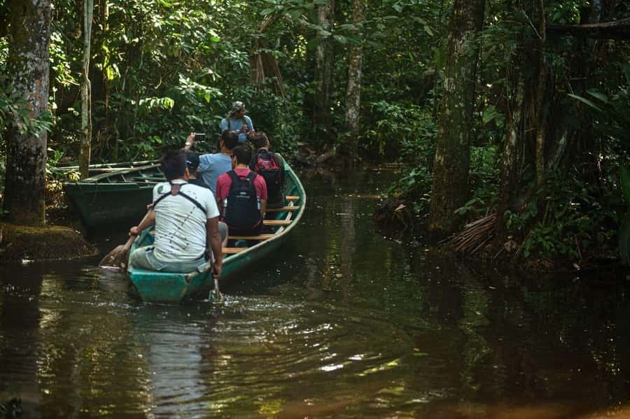 Tambopata National Reserve Tour 3 Days - Wildlife expectations and the right mindset