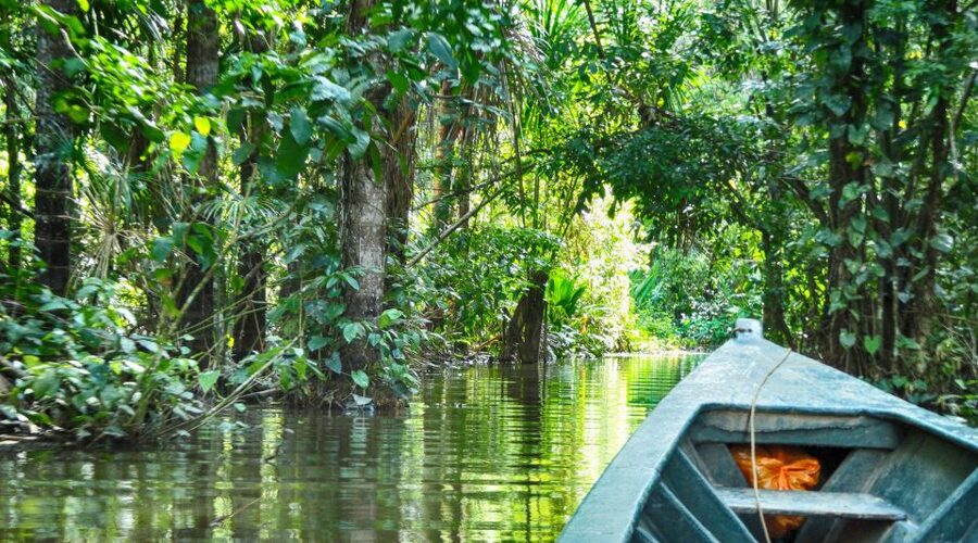 Tambopata Peruvian Amazon Jungle for Three Days/Two Nights - What to pack for heat, rain, and insects