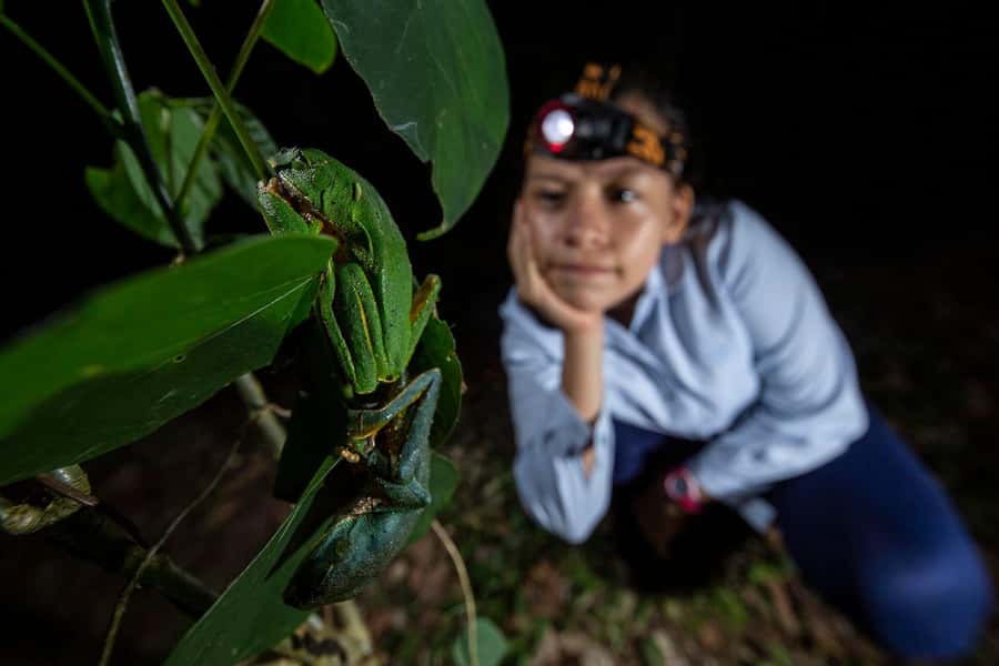 Tambopata Rainforest Night Walk & River Exploration - The forest trail, where small animals take center stage