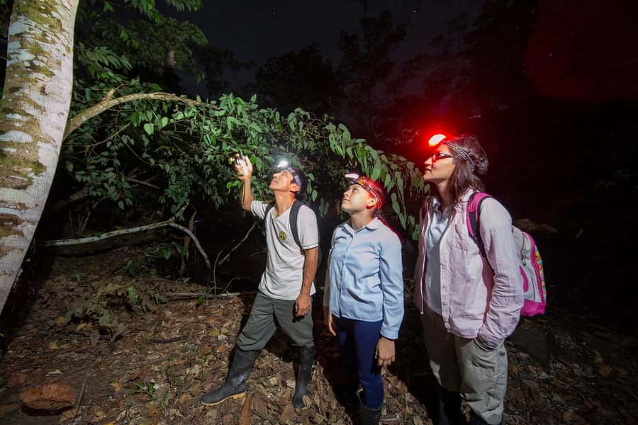 Tambopata Rainforest Night Walk & River Exploration - The 4:00 PM boat ride on the Tambopata River