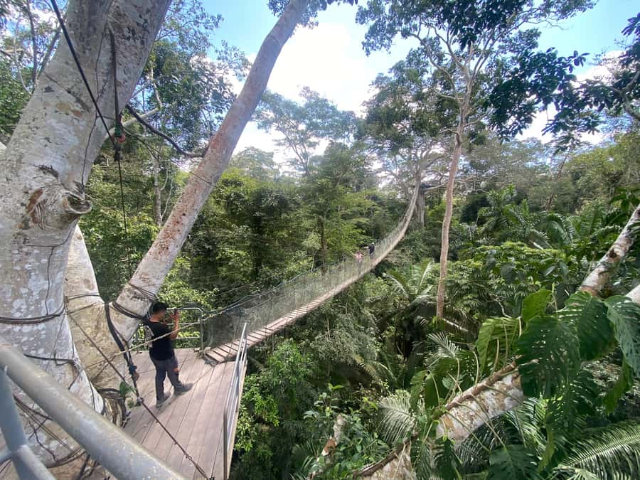 Tambopata: Zipline Adventure & Kayak to Monkey Island - Two 190-meter zipline runs