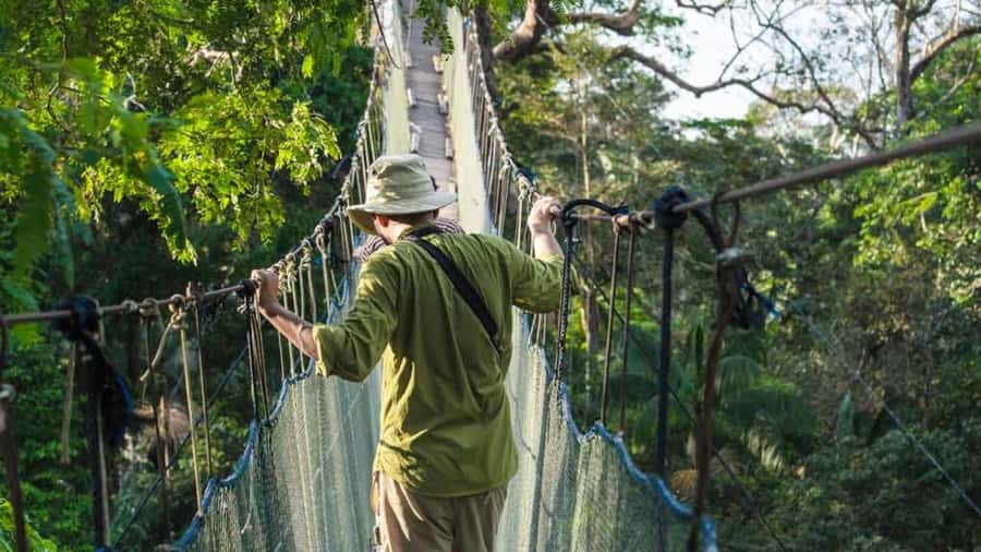 Tambopata: Zipline Adventure & Kayak to Monkey Island - From Loreto 124 to the jungle lodge