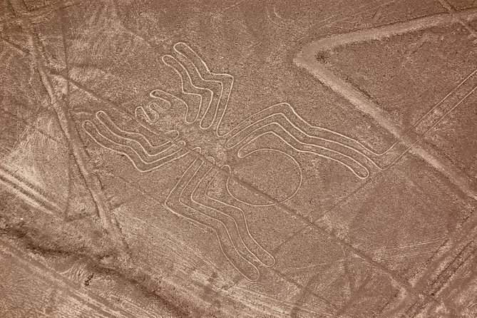 The Nazca Lines & Huacachina Oasis from Lima - Private Trip - Why the Nazca stop earns the long drive