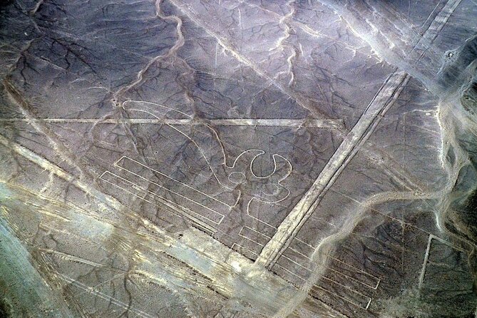 The Nazca Lines & Huacachina Oasis from Lima - Private Trip - Lunch is separate, but useful