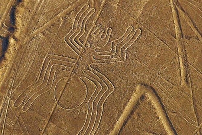 The Nazca Lines & Huacachina Oasis from Lima - Private Trip - What $485 per person really covers