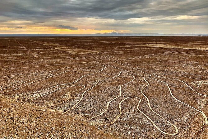 The Nazca Lines & Huacachina Oasis from Lima - Private Trip - Seeing the Nazca Lines from a small plane
