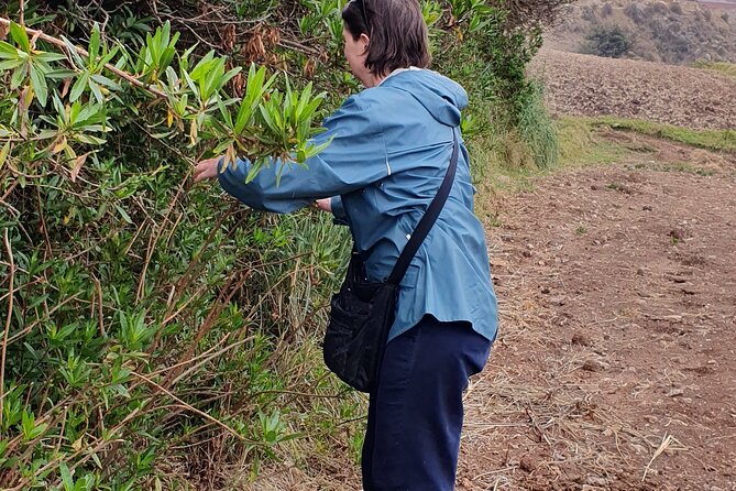 The Textile Workshop Experience in Cusco Region - Why the natural dye lesson is worth your time