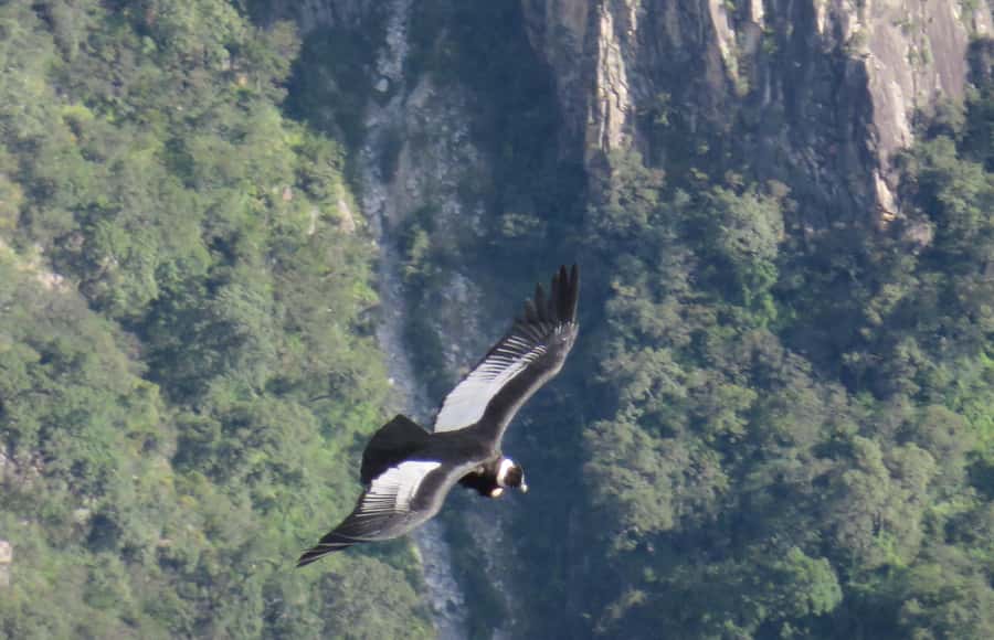 Tour Fullday Colca Canyon with Breakfast and Typical Lunch - The 2:30 a.m. pickup from Arequipa