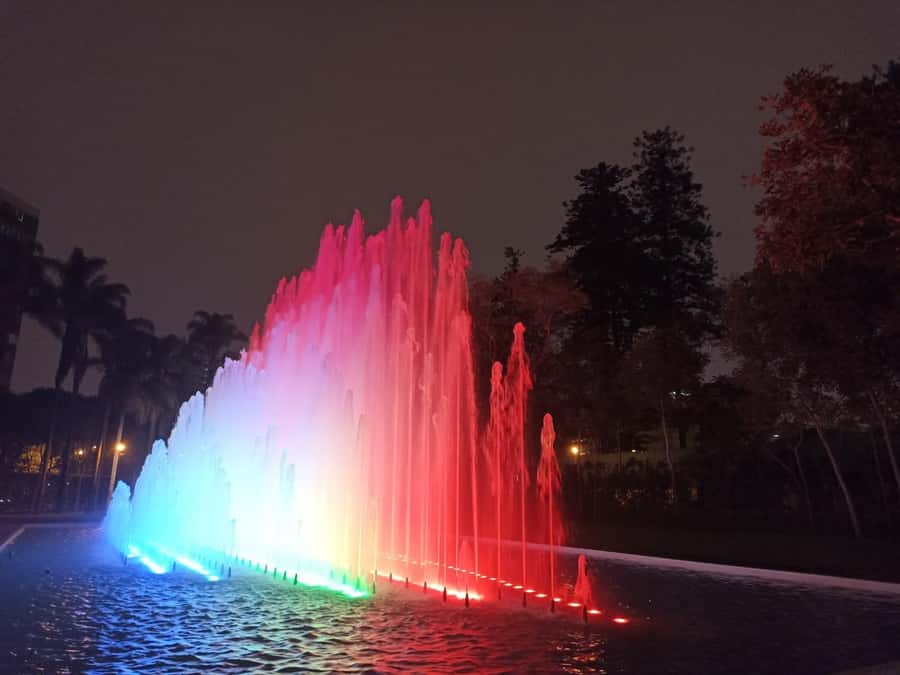 Tour to the magical water circuit with dinner and dance show - Key points to know before booking