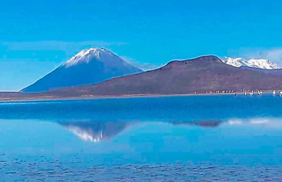 Tour to the Salinas Lagoon and National Reserve in Arequipa - The 6:00 a.m. departure and the road to Chiguata
