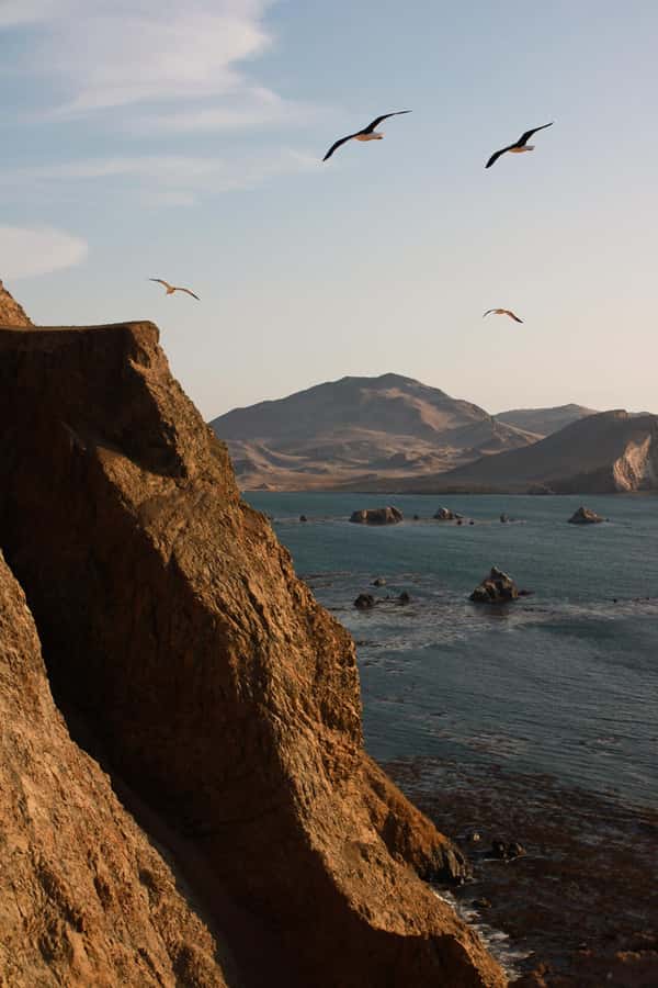TREKKING GOLDEN SHADOWS - Is $38 fair for four hours?