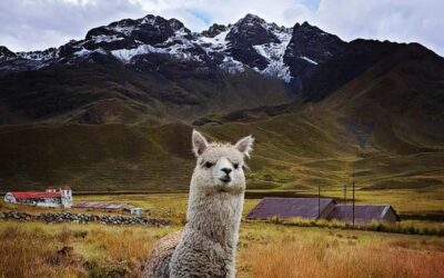 TRIP FROM PUNO TO CUSCO WITH THE ROUTE OF THE SUN