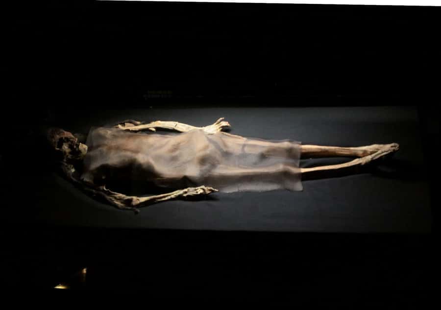Trujillo: El Brujo Complex Archaeological Tour with Tickets - The Cao Museum and the tattooed ruler