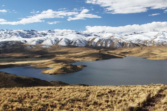 Turist Bus Colca Canyon (Chivay) To Puno - Patahuasi in the Aguada Blanca Reserve