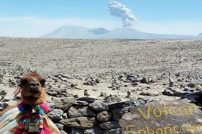 Turist Bus Colca Canyon (Chivay) To Puno - The guide and the pace of the stops