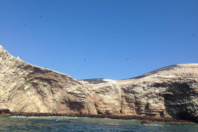 Ultimate Comfort: Lima to Huacachina, Ballestas and Vineyard - Is $200 a fair price?