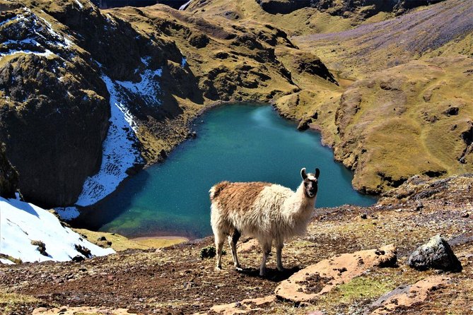 Ultimate Lares Trek & Inca Trail 5 days - Day 3: Down to Huaran and onward to Ollantaytambo