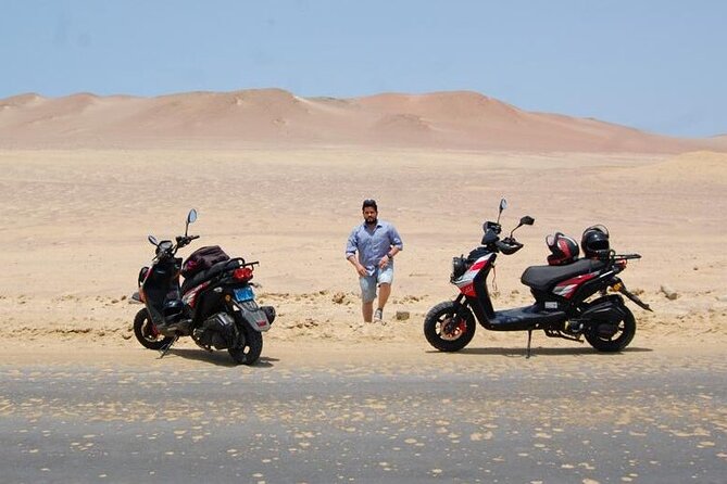 Visit the Paracas National Reserve on a SCOOTER - Key points to know before you rent