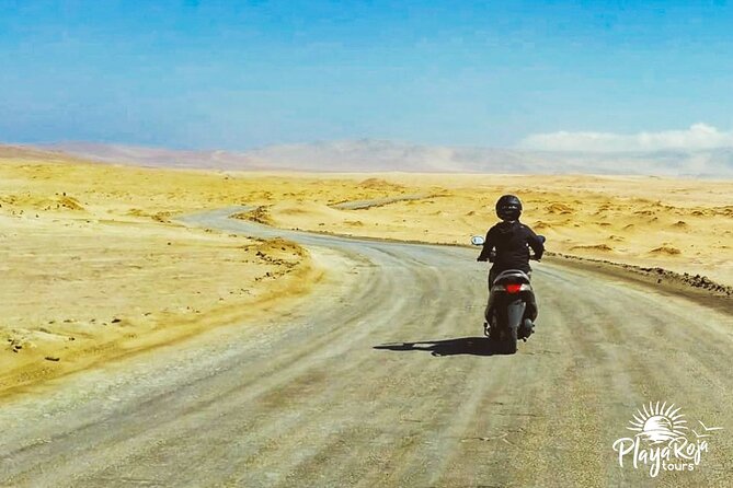 Visit the Paracas National Reserve on a SCOOTER - Helmets, glasses, gasoline, and riding basics