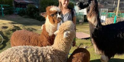 Visit to the Cochahuasi Animal Sanctuary with rescued animal