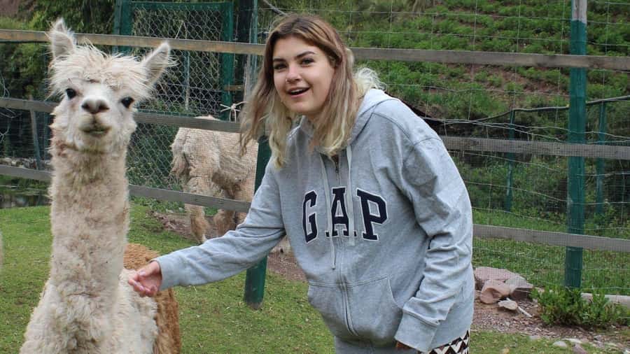 Visit to the Cochahuasi Animal Sanctuary with rescued animal - The Andean condor conservation story