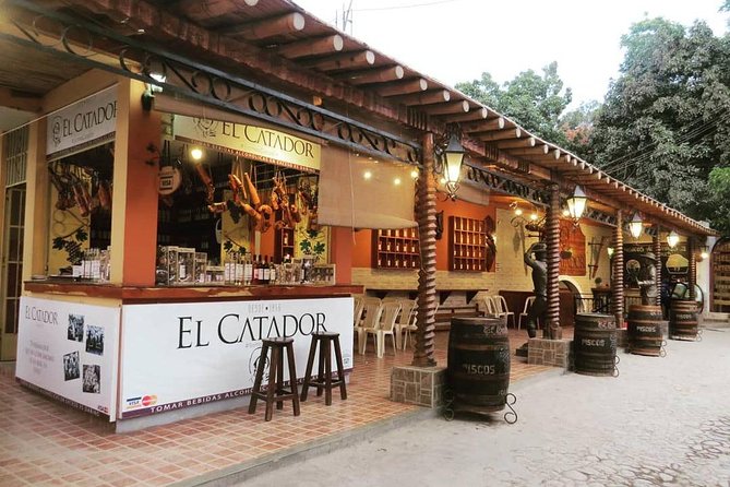 Winery and Pisco Distillery tour - Tacama gives the tour its grandest setting