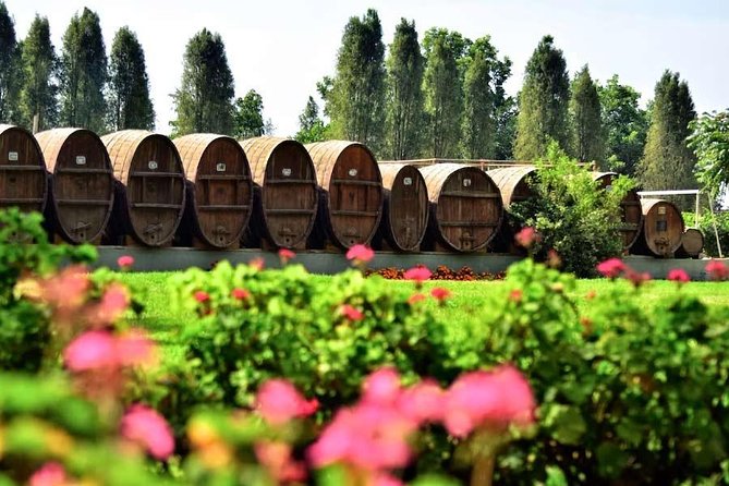 Winery and Pisco Distillery tour - The guides add practical value