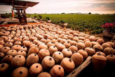 Winery and Pisco Distillery tour