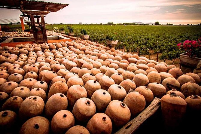 Winery and Pisco Distillery tour - La Vieja Bodega Lovera adds an old cellar